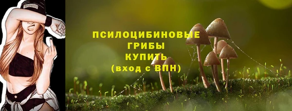 spice Алексин