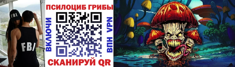Галлюциногенные грибы Psilocybine cubensis Купить где Грязи